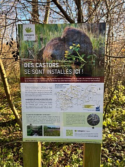 Réserve naturelle «  Les marais de Chapelle »