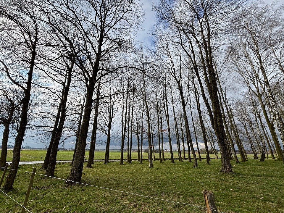 Nature et paysage
