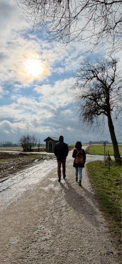 Balades sur les nombreux sentiers de la commune