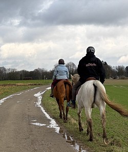 Les balades a cheval