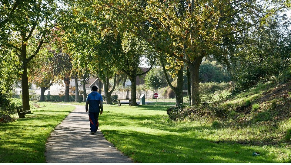 Voie du tram près de l’abri du vicinal à l’arrêt Monument Gordon
