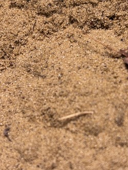 Le sable de la carrière Delens et Wery